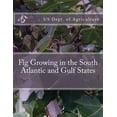 thumbnail image 1 of Fig Growing in the South Atlantic and Gulf States, 1 of 1