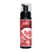 WEN by Chaz Dean Fig Nourishing Mousse, 7.5 Fl Oz