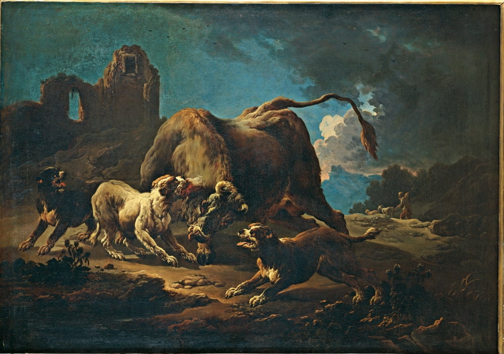 Fight Between Some Dogs And A Bull Canvas Art - (36 x 24)