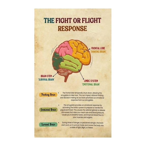 Fight Flight Freeze Fawn Psychology Poster, Mental Health Brain Science Chart, Educational Wall Decor for School Counselor Office and Classroom