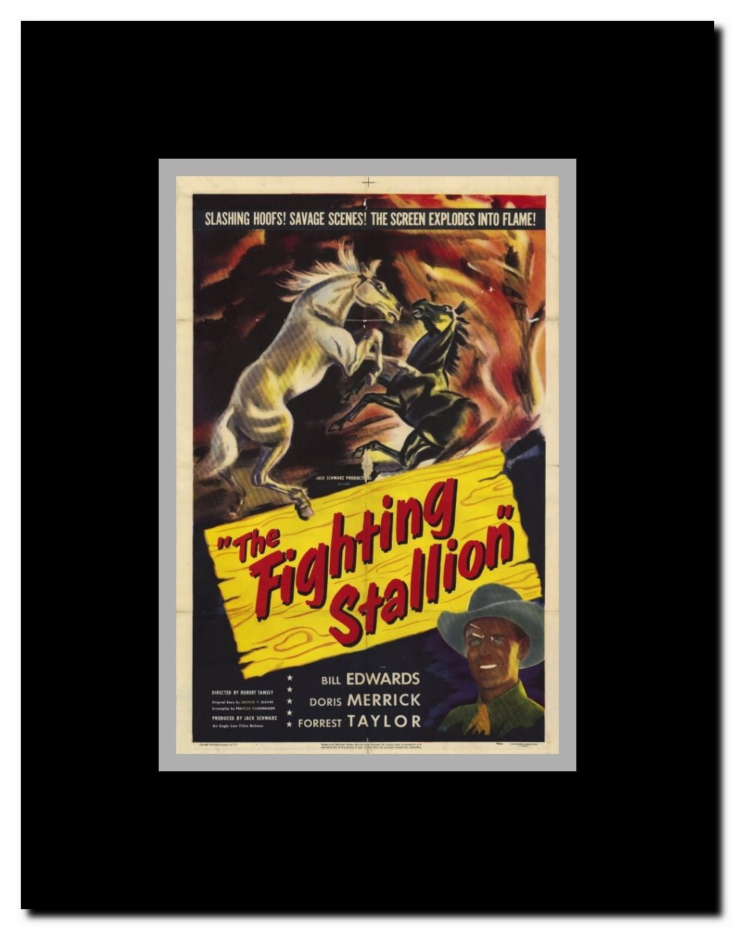 Fighting Stallion Framed Movie Poster