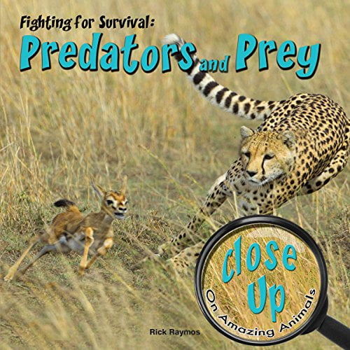 Pre-Owned Fighting for Survival: Predators and Prey (Close-up on Amazing Animals) Paperback