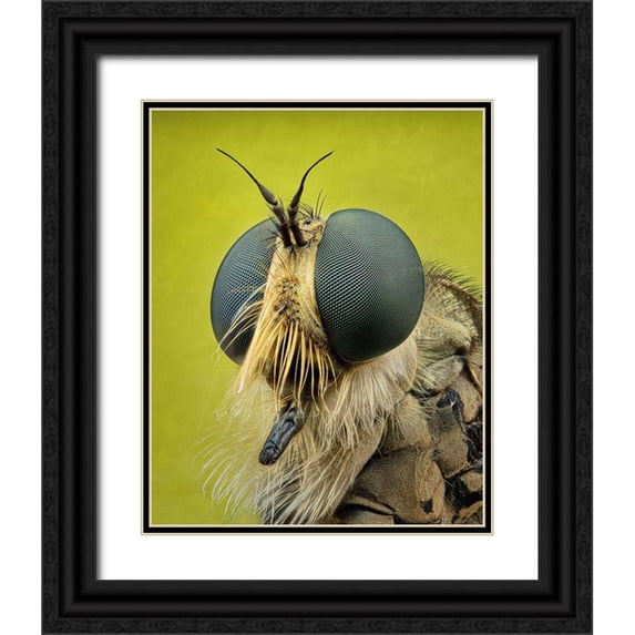 Figueras Barranco, Antoni 26x32 Black Ornate Wood Framed with Double Matting Museum Art Print Titled - Robberfly
