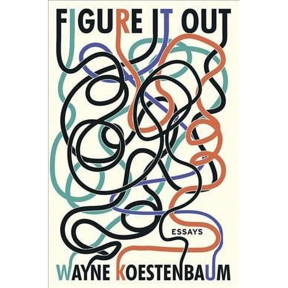 Pre-Owned Figure It Out : Essays (Paperback)