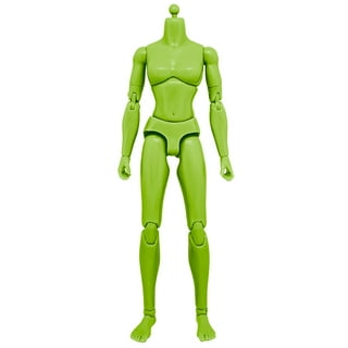 1 6 Female Figures