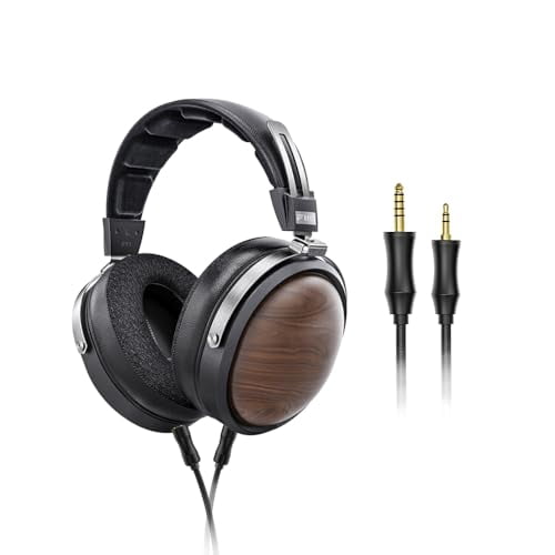 FiiO FT1 Closed-Back Over-Ear Nanowood Fiber Composite Diaphragm Wired Hi-Fi Headphones, Detachable Cable, American Black Walnut Wood Ear Cups for Home, Studio, Recording (Black)