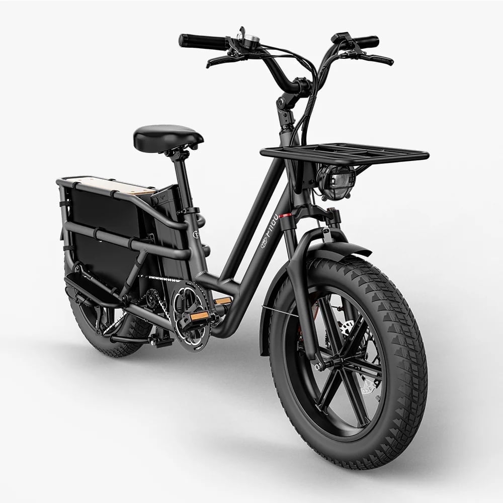 Fiido - T2 Longtail Cargo E-Bike 750w 20.5MPH - Forest Green - Quality Quest Bikes