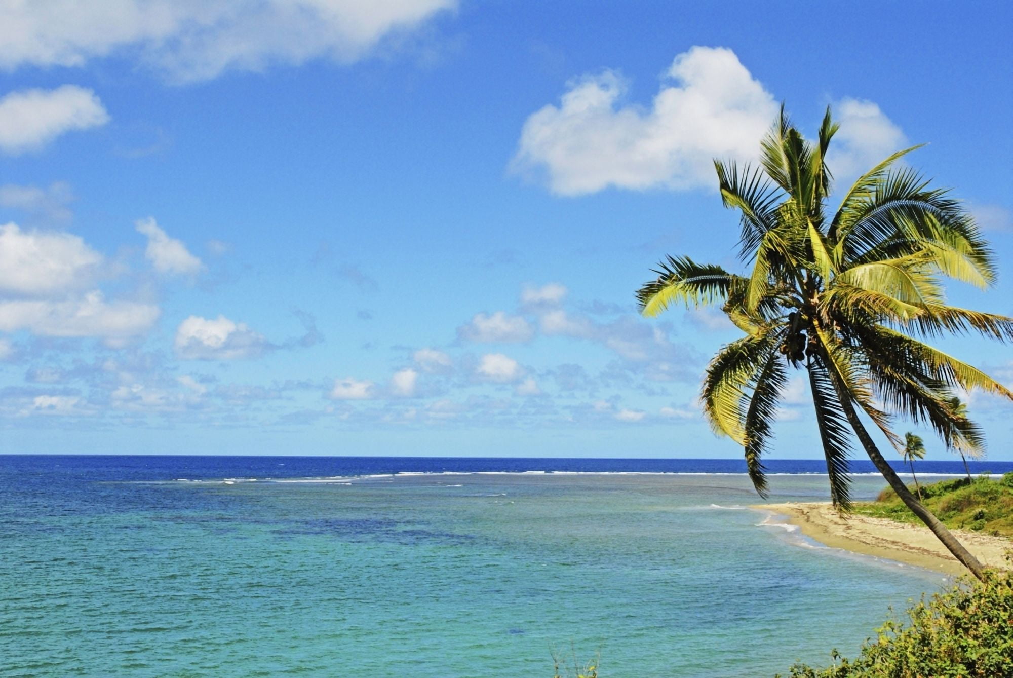 Fiji Blue And Turquoise Ocean With Palm Tree And Sandy Beach Canvas Art - Himani Smeaton Design Pics (17 x 11)