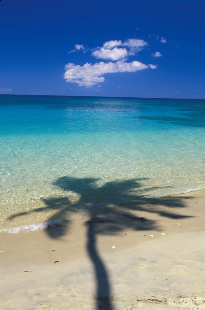 Fiji Kadavu Islands Shadow Of Palm Tree Onto Calm Beach Reef In Distance Canvas Art - Ron Dahlquist Design Pics (11 x 17)