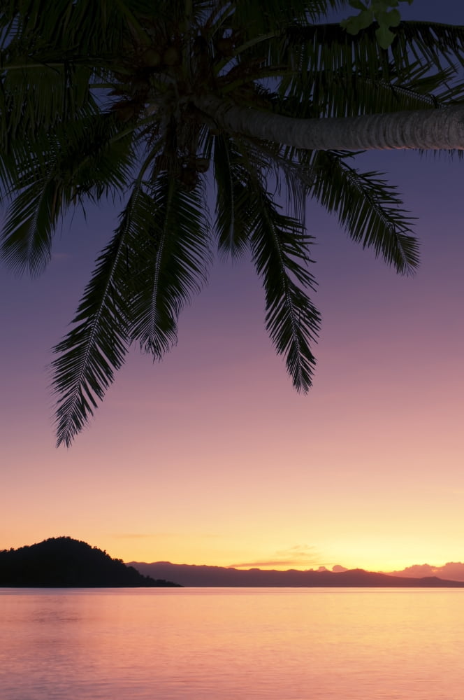 Fiji Matangi Private Island Resort Sunset glow over ocean Canvas Art - Greg Vaughn Design Pics (11 x 17)
