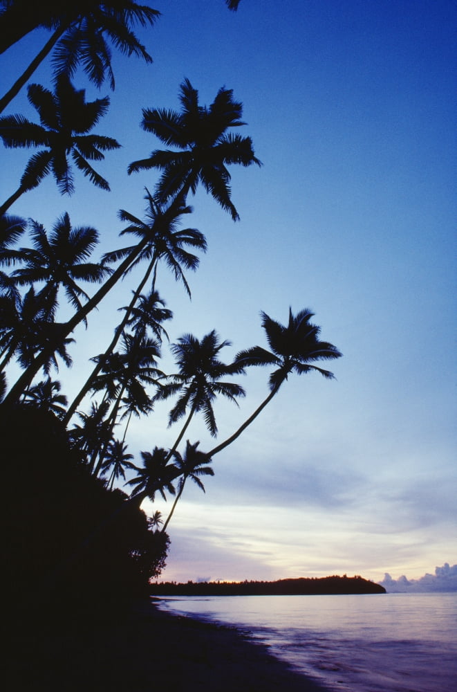Fiji Palm Trees Line The Beach At Twilight Canvas Art - Robert Sablan Design Pics (12 x 19)