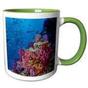 3drose, Fiji. Reef with Coral and Black Snapper Fish, 11oz Two-tone Green Mug