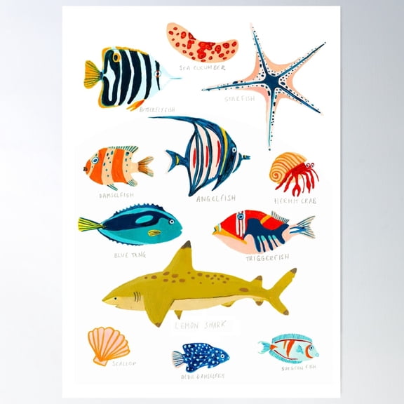 Fiji Sea Life Poster Wall Art, Modern Wall Decor For Living Room Bedroom, 8x12 UNFRAMED