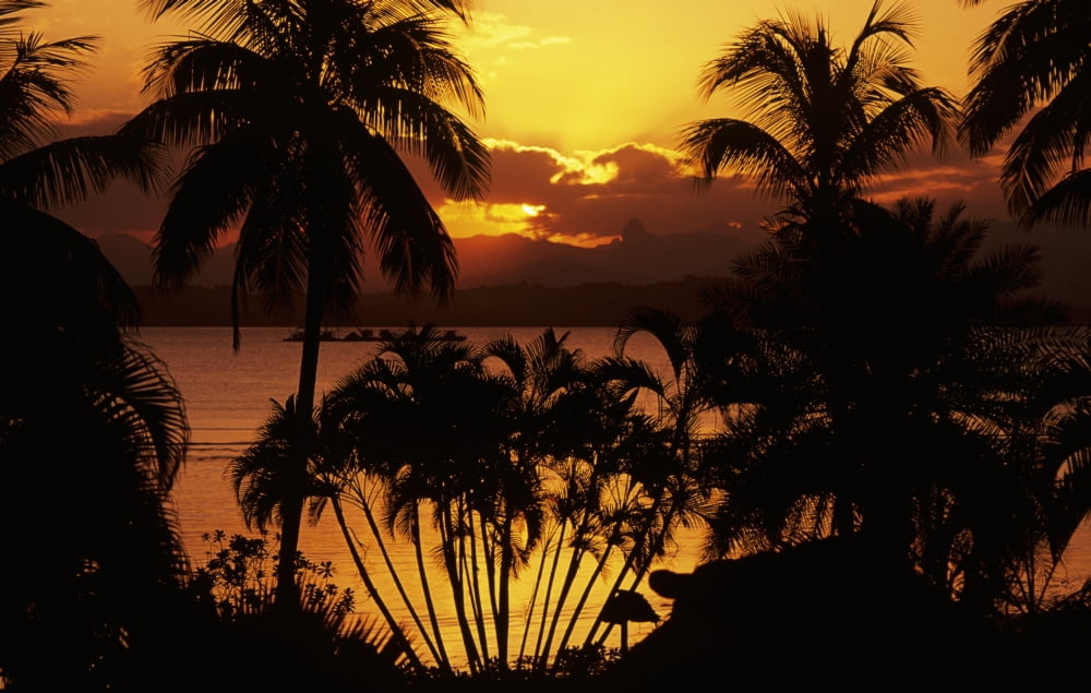 Fiji Sunset Over Suva Bay Silhouetted Palm Trees In Foreground Canvas Art - Larry Dale Gordon Design Pics (17 x 11)