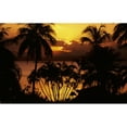 thumbnail image 1 of Fiji, Sunset Over Suva Bay, Silhouetted Palm Trees In Foreground. Poster Print (34 x 22), 1 of 3