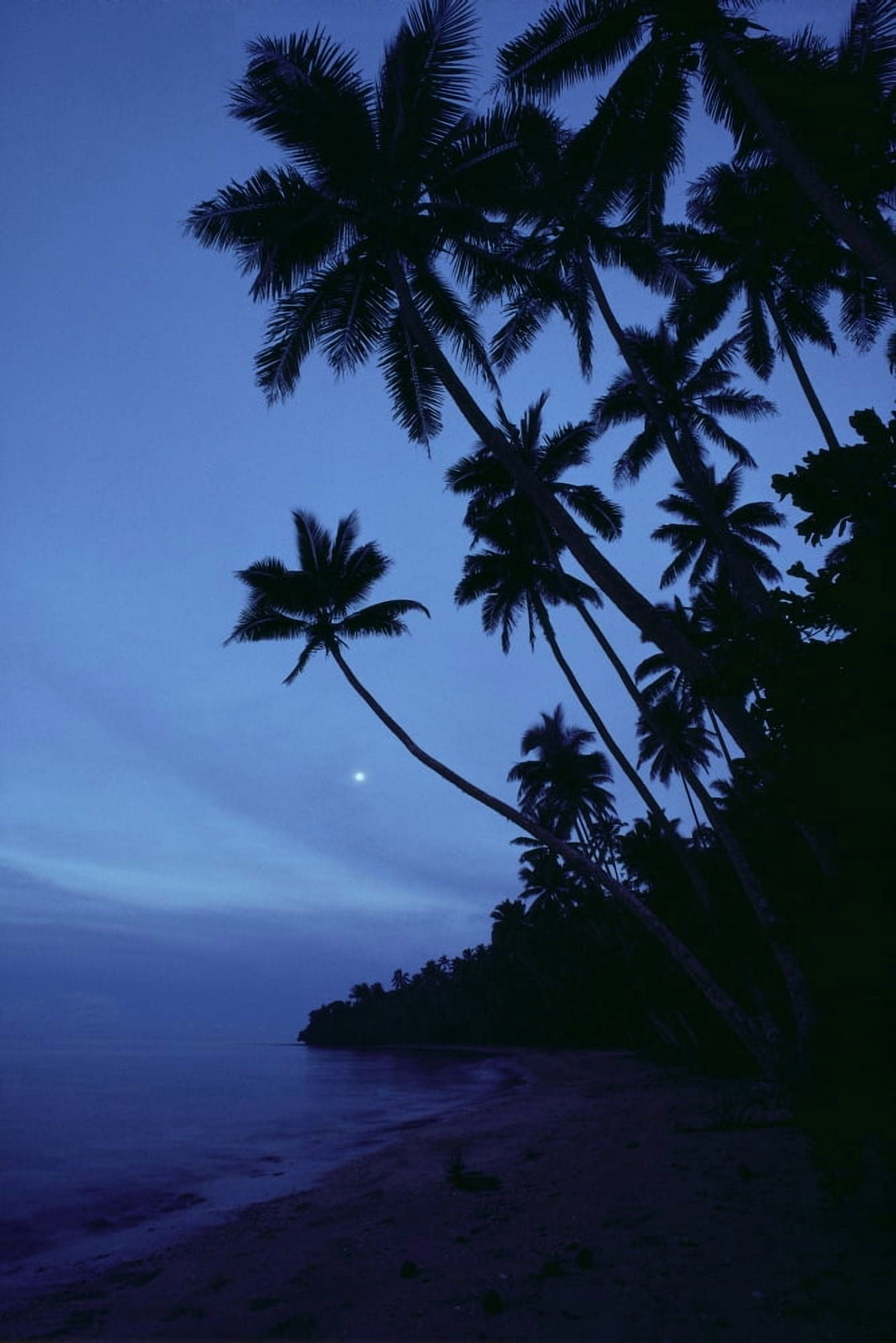 Fiji Twilight Silhouetted Palm Trees Along Shoreline Full Moon Misty Blue Sky A65C Canvas Art - Robert Sablan Design Pics (24 x 38)