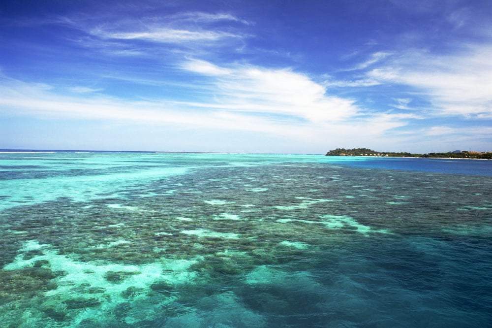 Fiji View from ocean to Mana Island Mamanuca Islands Canvas Art - Himani Smeaton Design Pics (17 x 11)