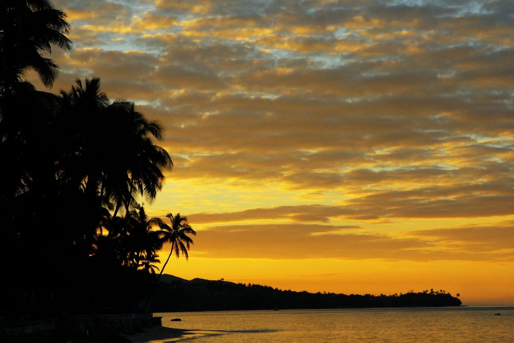 Fiji Viti Levu Coral Coast Orange Sky At Sunrise Silhouette Of Palm Trees Along The Ocean Canvas Art - Himani Smeaton Design Pics (36 x 24)