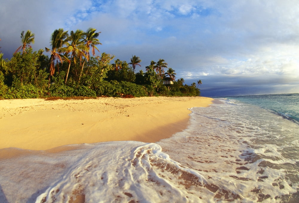 Fiji Waves Washing Onto Tropical Beach Palm Trees Cloudy Sky Canvas Art - Liysa Swart Design Pics (36 x 24)