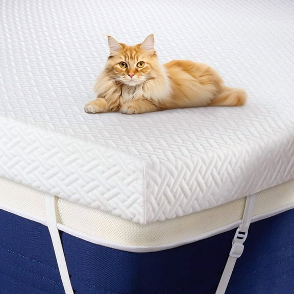 Fijinhom Queen Size 3 Inch Gel-Infused Memory Foam Mattress Topper, Pressure Relief, Cooling Comfort, CertiPUR-US Certified