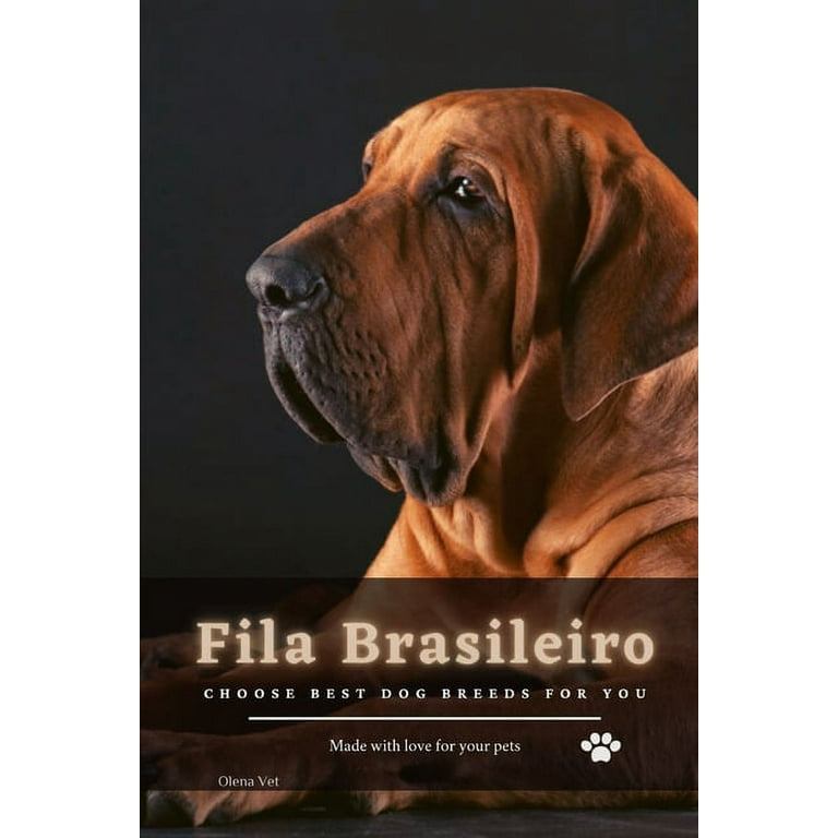 Fila Brasileiro : Choose best dog breeds for you (Paperback)