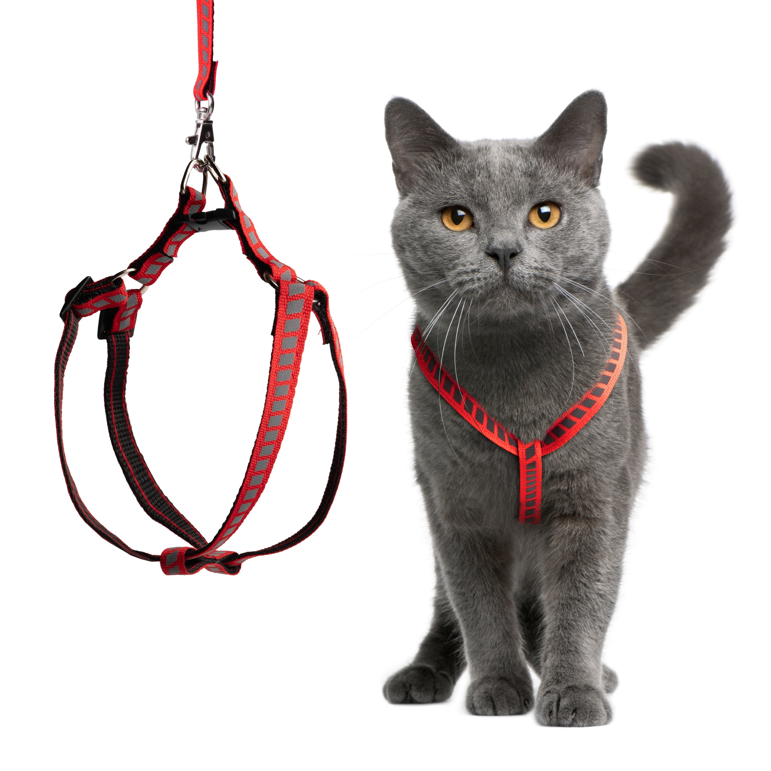 View of Filbert Cat Harness and Leash Set with Reflective Strip, Cat Harness ...