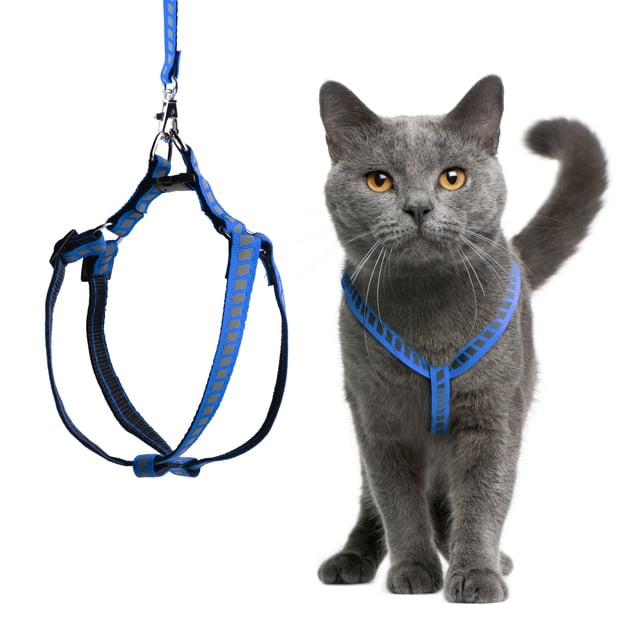 Filbert Cat Harness and Leash Set with Reflective Strip, Thin Cat ...