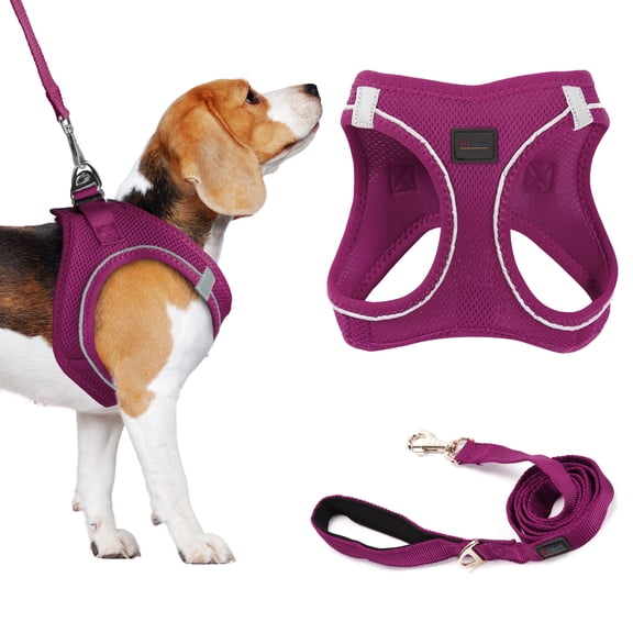 Filbert Dog Harness and Leash Set,  3/4 inch X 4.6ft Strong and Durable Leash, Step-in Reflective Harness Medium Sized Dogs, Mesh Vest, High Reflectivity, Breathable Fabric, Heavy Duty Velcro