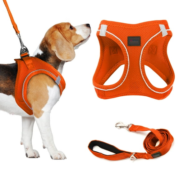 Filbert Dog Harness and Leash Set,  3/4 inch X 4.6ft Strong and Durable Leash, Step-in Reflective Harness Small Sized Dogs, Mesh Vest, High Reflectivity, Breathable Fabric, Heavy Duty Velcro