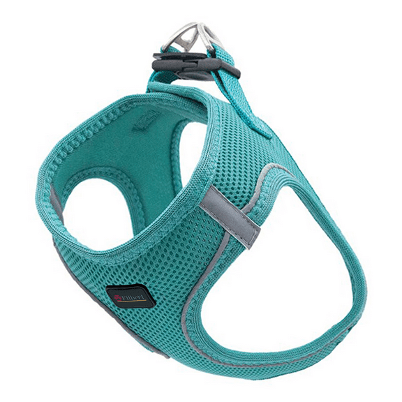 Filbert Dog Harness Small Sized Dog, Step-in Reflective Harness Small Sized Dogs, Puppy Vest, Mesh Vest, Adjustable, Soft, High Reflectivity, Breathable Fabric, Heavy Duty, Viridian Green
