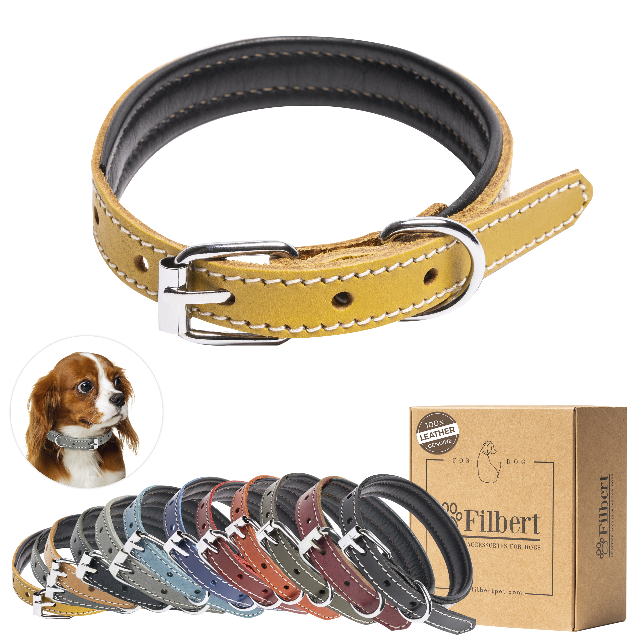 Filbert Padded Leather Dog Collar for Large Dogs, Medium & Small Dogs, Leather Collar for Dogs