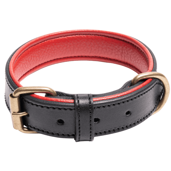 Filbert Padded Leather Dog Collar for Medium Dogs, Genuine Soft Leather Collar for Dogs, Heavy Duty, Stylish Design, Ultra-Durable