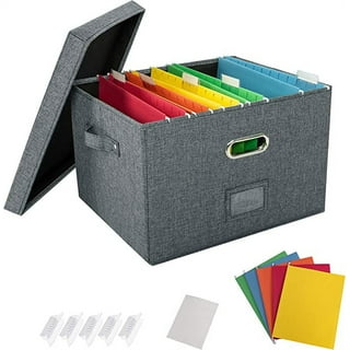 Advantus Stretch Art Storage Box Clear - Office Depot