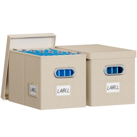 File Box with Lid-File Organizer Box Set of 2 Portable Hanging File Box-Decorative Filing Storage Boxes for Office & Home File Cabinet (White, 14 x 9.3 x 10.9 in (2Pack))