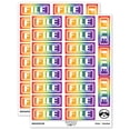 thumbnail image 1 of File Double Border Sticker Set - Rainbow - Matte Finish - 2.00" Large, 1 of 7