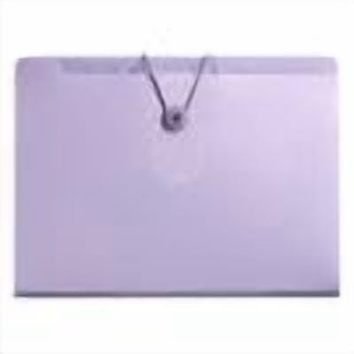 File Organizer,8 Pockets Expanding File Folder with Blank Labels,Portable Reusable According File Organizers,12.79x9.64 inch Waterproof Accordion Document Holder for Office Supplies (Purple)