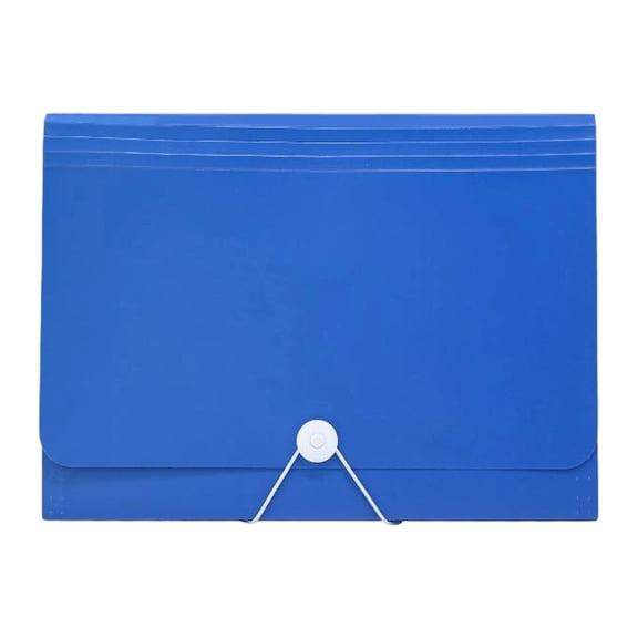 File Organizer Accordion Folder, 13X9.45X1.38 Inch, Expanding File with Label Tabs, Pp Material, Secure Closure, Portable for Teacher scholar Doctor, 1 Drawstring 13-Compartment Accordion Bag