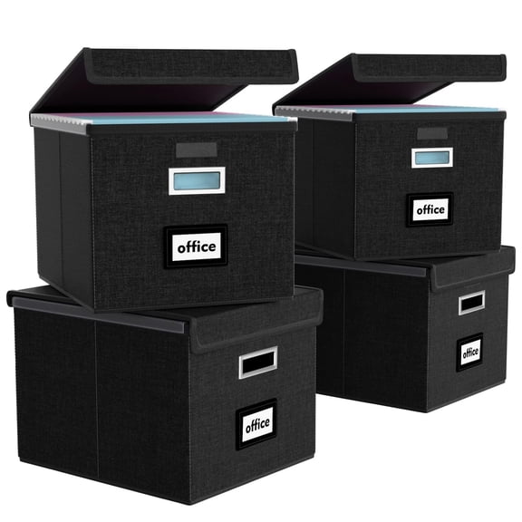 File Organizer Box with Lid, Collapsible File Folder Organizer for Office Document Storage, Filing Box with Plastic Slide for Letter Size Hanging File Folders(1 Pack, Black)