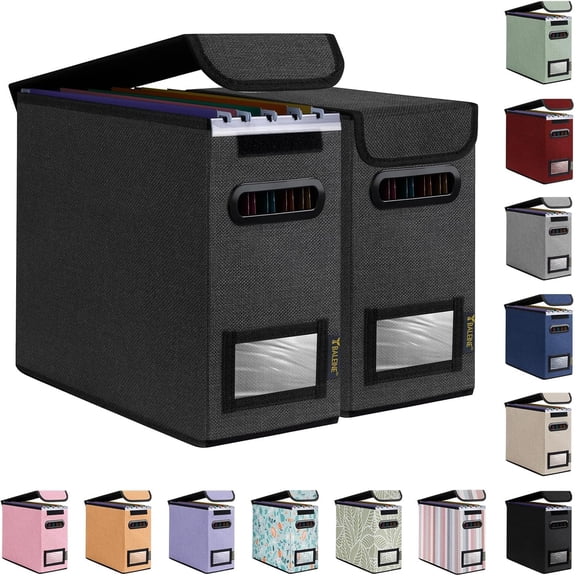 File Organizer Box with Lid, Collapsible File Folder Organizer with Plastic Slide, Hanging File Folder Box for Office Document Storage (2 Pack, Black, S)