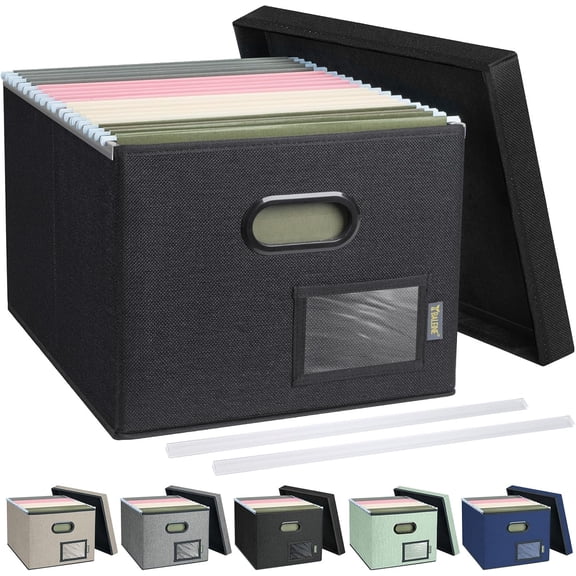 File Organizer Box with Lid, Collapsible File Folder Organizer with Plastic Slide, Filing Box for Office Home Document Organizer Storage (Black, 1PK)