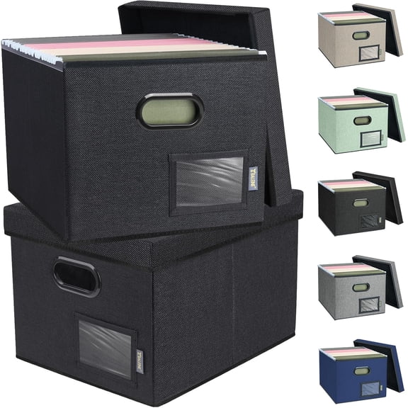 File Organizer Box with Lid, Collapsible File Folder Organizer with Plastic Slide, Filing Box for Office Home Document Organizer Storage (Black, 2PK)
