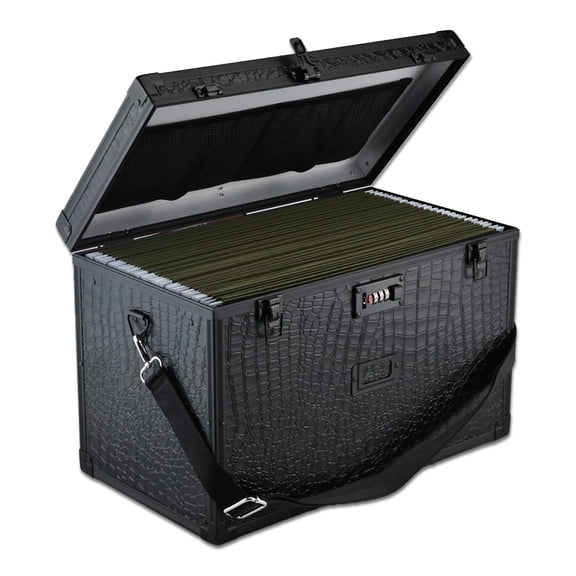File Storage Cabinet File Organizer Document Organizer File Box in Office and Home with Combination Lock with 20 Legal Size Hanging Files (Diamond Silver, Legal)