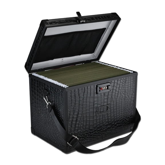 File Storage Cabinet File Organizer Document Organizer File Box in Office and Home with Combination Lock with 20 Letter Size Hanging Files (Diamond Silver)