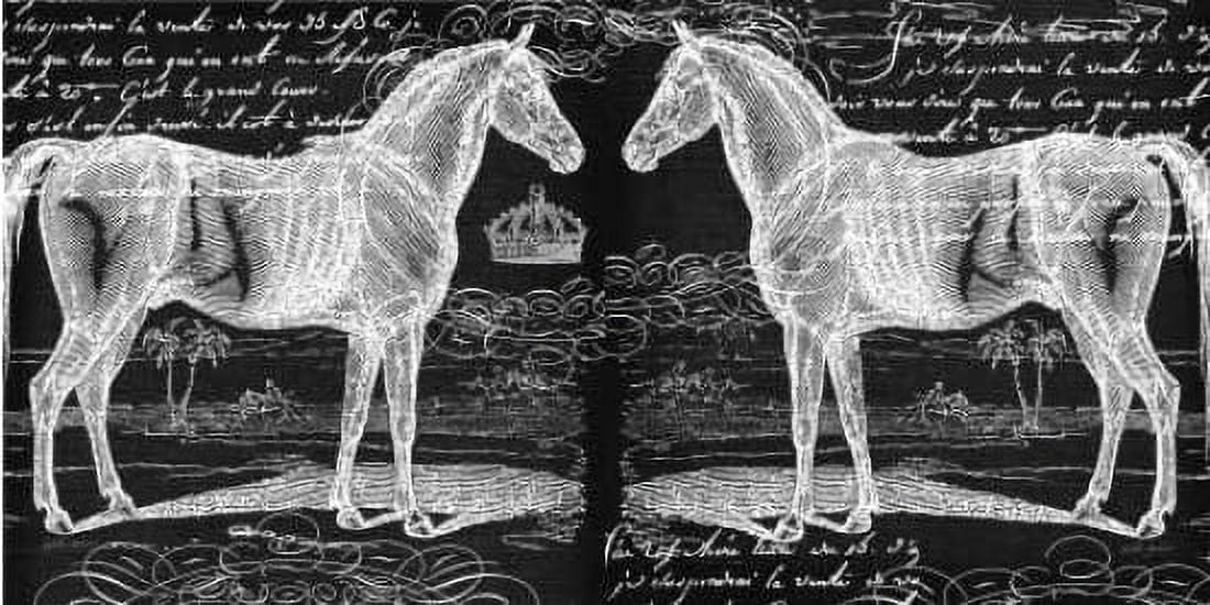 Filigree Horse Canvas Art - Walter Robertson (24 x 48)