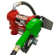 Fill-Rite FR1210GA1 12 Volt DC Fuel Transfer Pump with Hose and Leaded Nozzle