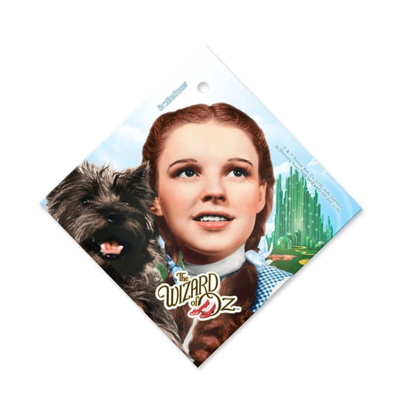 The Wizard of Oz (Dorothy and Toto) StarFire Prints™ Glass Art SPSQU604