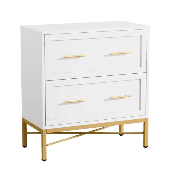 Filming Cabinet, 2 Drawer Office Storage Cabinet, Printer Stand with Adjustable Rails - White Wood Finish