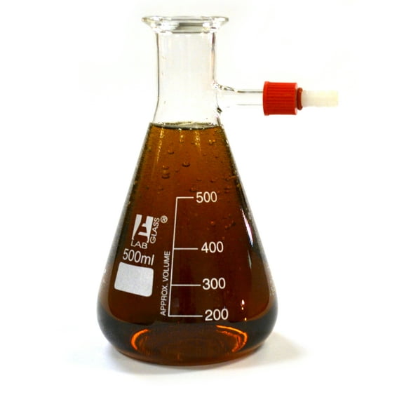 Filter Flask, Borosilicate, 500mL, Pack of 2