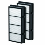 Filter-Monster True HEPA Replacement Filter Compatible with Holmes AER1 HAPF300/HAPF30 (D Filter) and Bionaire BAP536/BAP516, 2 Pack