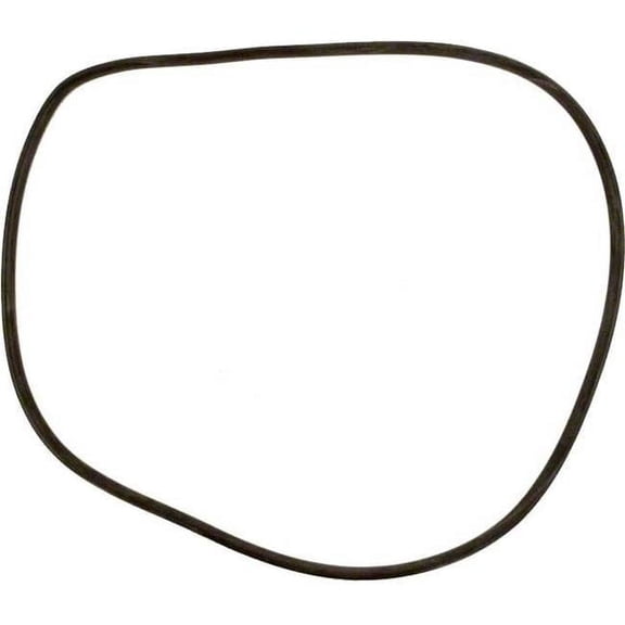 Filter Tank O-Ring